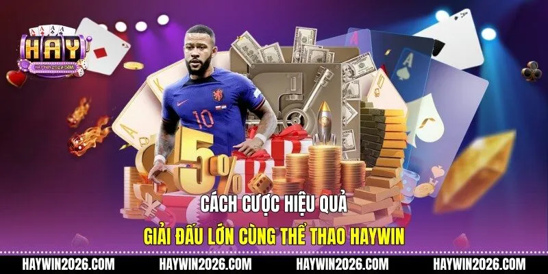 Cách cược hiệu quả giải đấu lớn cùng thể thao Haywin