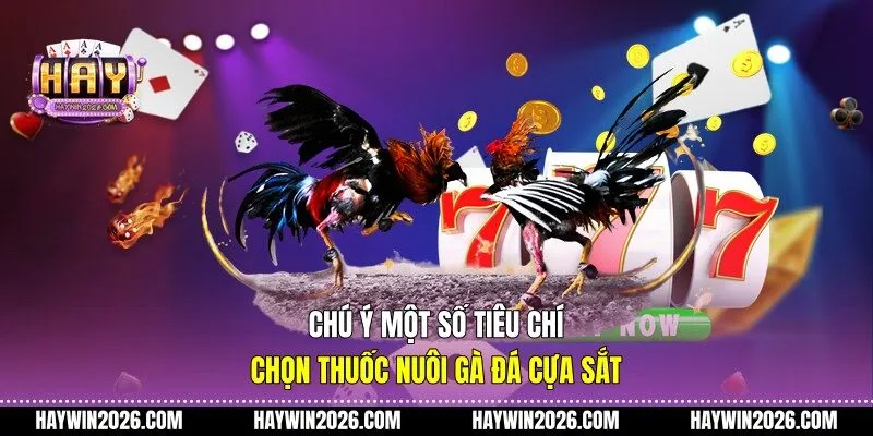 Chú ý một số tiêu chí chọn thuốc nuôi gà đá cựa sắt