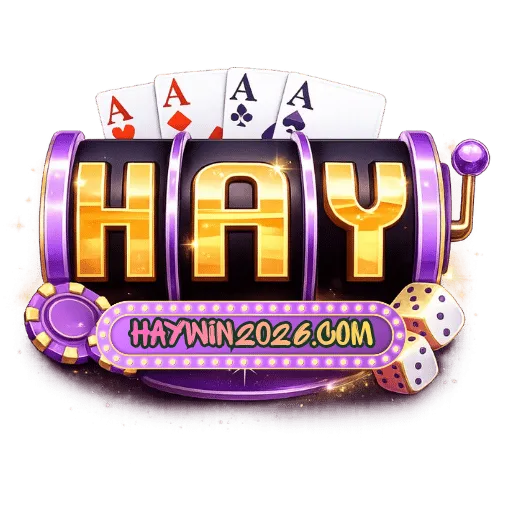 haywin2026.com