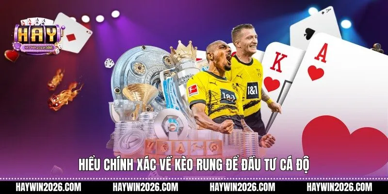 Hiểu chính xác về kèo rung để đầu tư cá độ