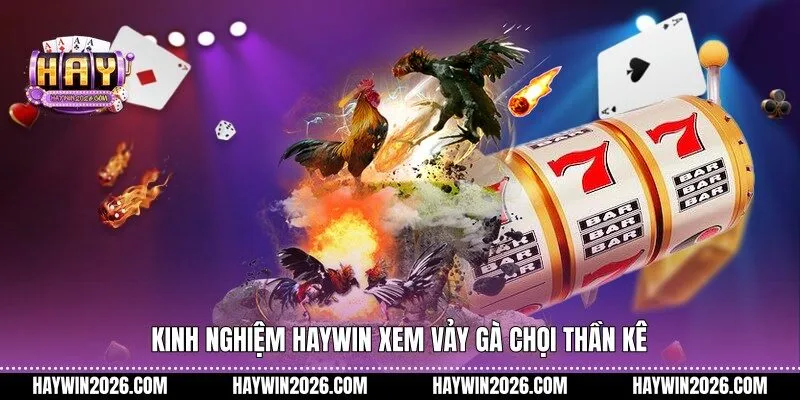 Kinh nghiệm Haywin xem vảy gà chọi thần kê