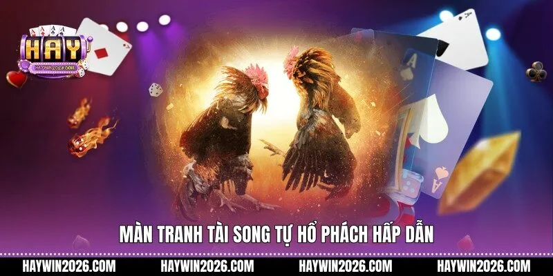 Màn tranh tài song tự hổ phách hấp dẫn