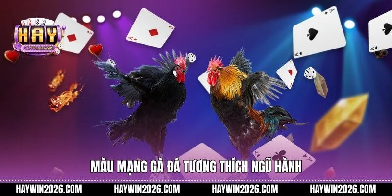 Màu mạng gà đá tương thích ngũ hành