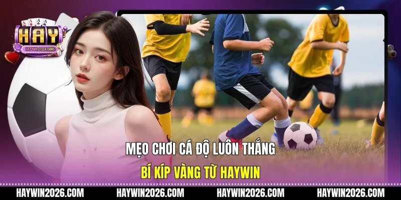 Mẹo chơi cá độ luôn thắng