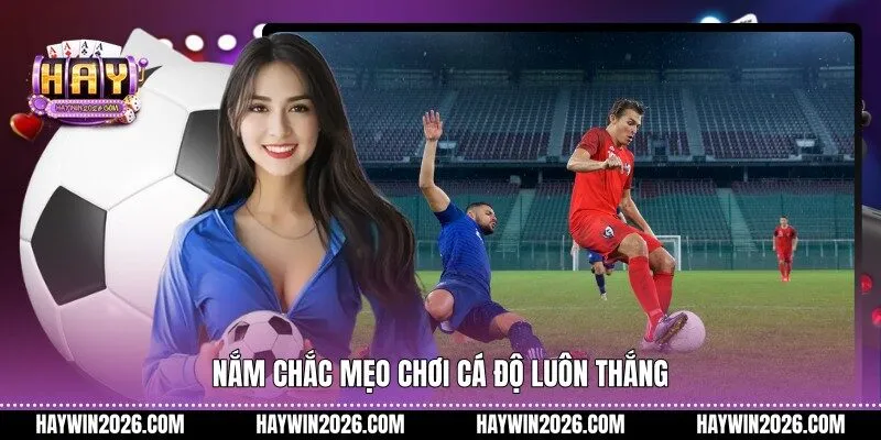 Nắm chắc mẹo chơi cá độ luôn thắng 