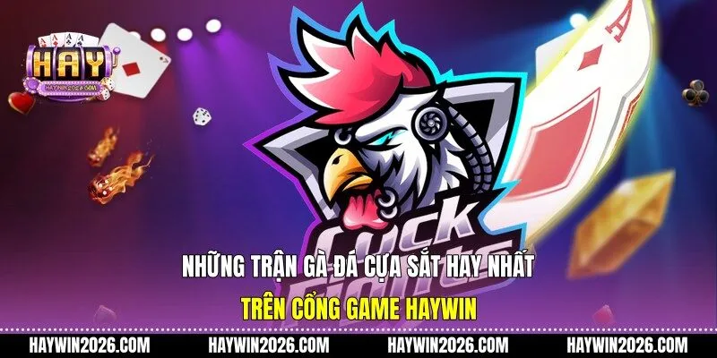 Những trận gà đá cựa sắt hay nhất