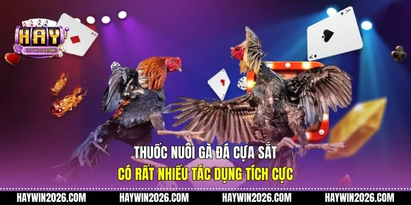 Thuốc nuôi gà đá cựa sắt có rất nhiều tác dụng tích cực