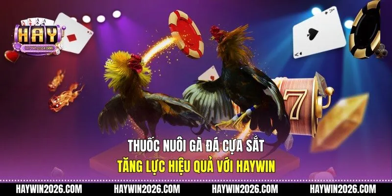 Thuốc nuôi gà đá cựa sắt