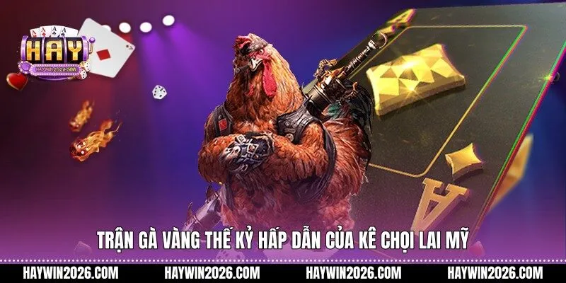 Trận gà vàng thế kỷ hấp dẫn của kê chọi lai Mỹ