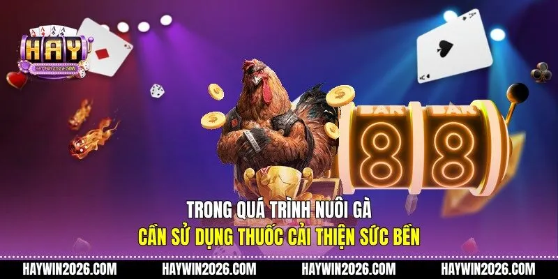 Trong quá trình nuôi gà cần sử dụng thuốc cải thiện sức bền